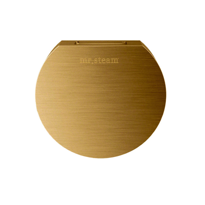 Mr. Steam 103937RAW Round Steamhead Unfinished Brass