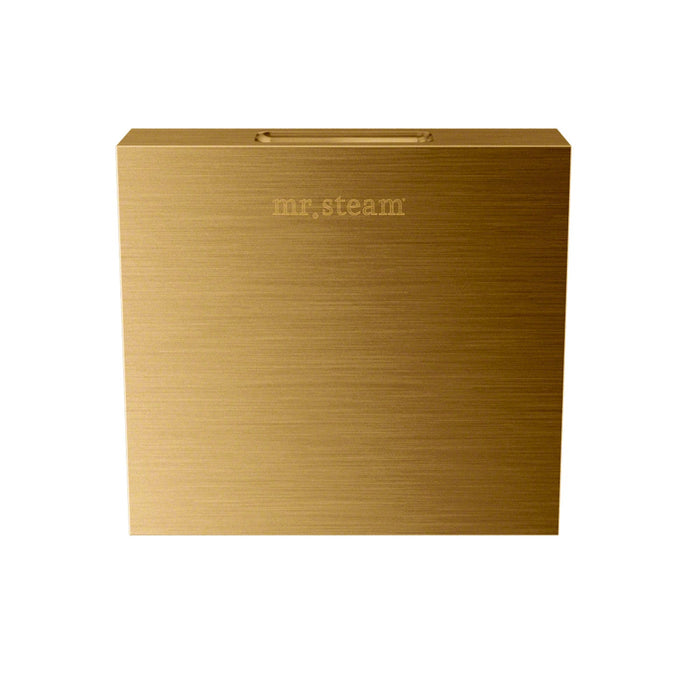Mr. Steam 104040RAW Square Steamhead Unfinished Brass