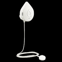 Moen Leak Detection System