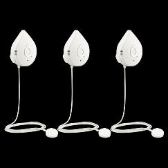 Moen Leak Detection System