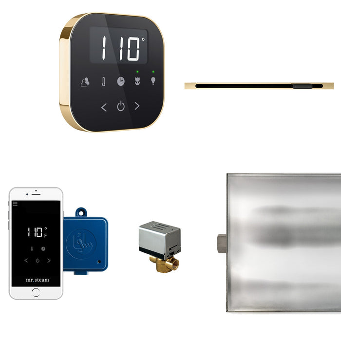 Mr. Steam ABTLRLBKPB AirButler® Linear Black in Polished Brass