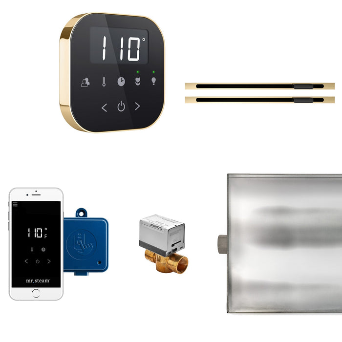 Mr. Steam ABTLRLXBKPB AirButler® Max Linear Black in Polished Brass