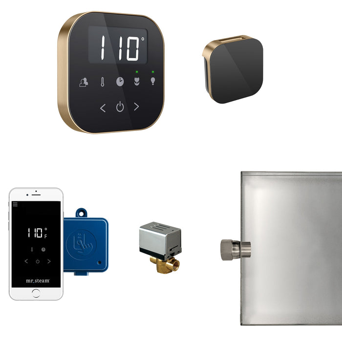 Mr. Steam ABUTLER1B-BB AirButler® Black in Brushed Bronze