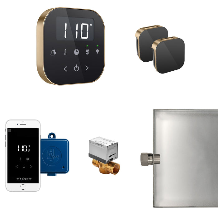 Mr. Steam ABUTLERXB-BB AirButler® Max Black in Brushed Bronze