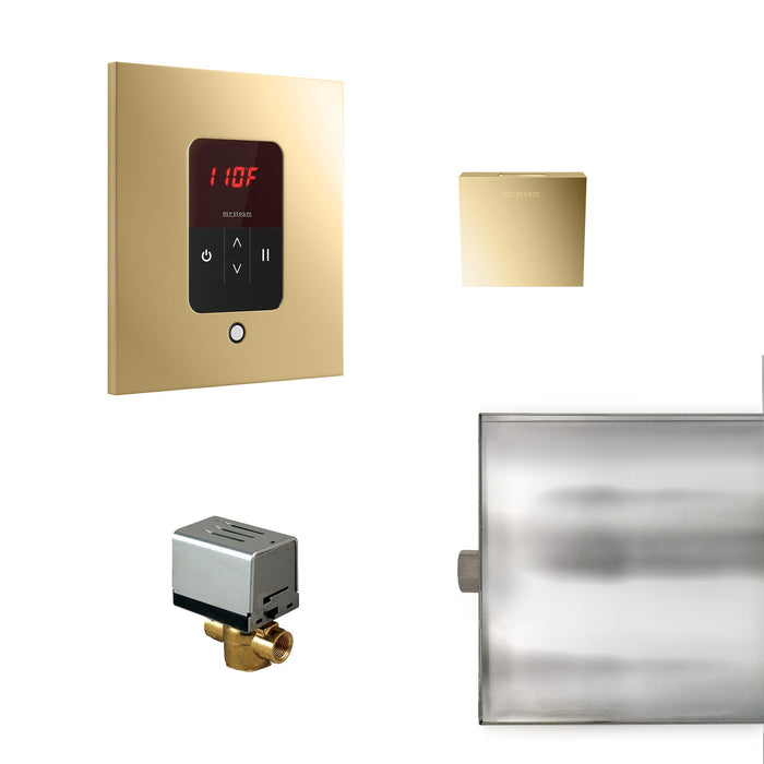 Mr. Steam BBUTLERSPB Basic Butler® Square in Polished Brass