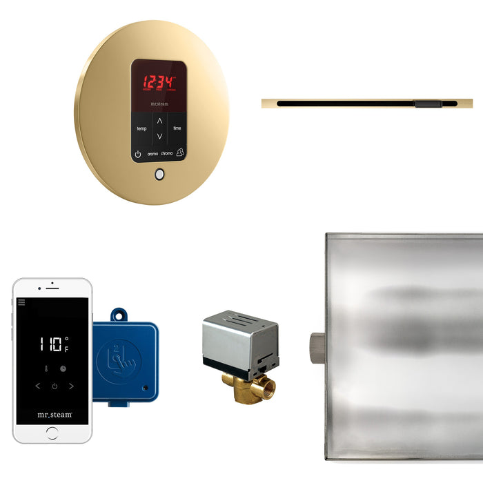 Mr. Steam BTLRL1RPB MS Butler® Linear Round in Polished Brass