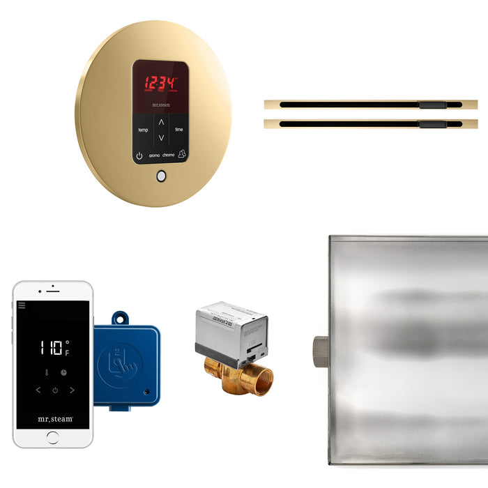 Mr. Steam BTLRLXRPB MS Butler® Max Linear Round in Polished Brass