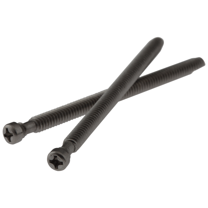 Delta RP20184 2 Retention Screws