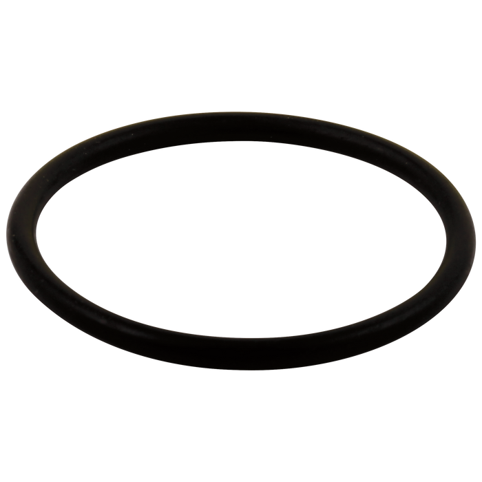 Delta RP23336 O-Ring - Large - All Monitor Series