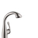 hansgrohe 04067860 Allegro E Pull-Out Prep Faucet with Magnetic Docking & Toggle Spray Diverter in Steel Optic