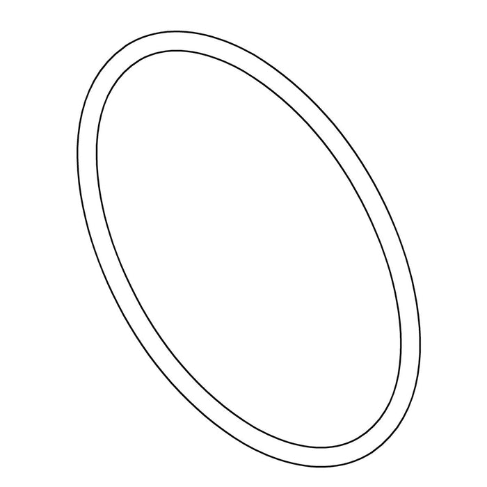 KOHLER K-1281816 O-Ring, 1.69 X .07