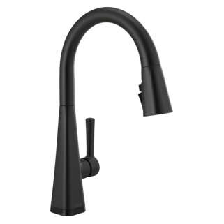 Delta Lenta: Single-Handle Pull-Down Kitchen Faucet with Touch2O Technology