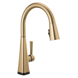 Delta Lenta: Single-Handle Pull-Down Kitchen Faucet with Touch2O Technology