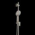 Brushed Nickel (BN)