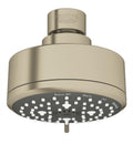 Brushed Nickel
