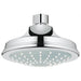 Grohe 28737000 Euphoria Rustic 130 1-Spray Showerhead