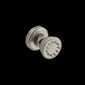 Brushed Nickel (BN)