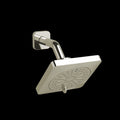 Polished Nickel (PN)