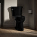KOHLER K-43999-7 Black Black - Closeroomview Square