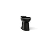KOHLER K-43999-7 Black Black - Iso