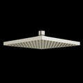 Polished Nickel (PN)