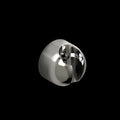 Brushed Nickel (BN)