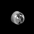 Chrome (C)