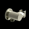 Brushed Nickel (BN)