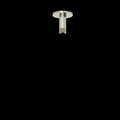 Polished Nickel (PN)