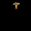 Brushed Gold (BG)