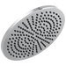 Delta 52158-25 Single-Setting Metal Raincan Shower Head