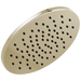 Single-Setting Metal Raincan Shower Head