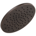 Single-Setting Metal Raincan Shower Head