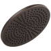 Delta 52158-25 Single-Setting Metal Raincan Shower Head