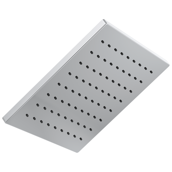 Delta 52159 Single-Setting Metal Raincan Shower Head