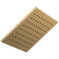 Champagne Bronze