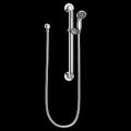 Chrome/Stainless