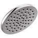 Single-Setting Raincan Shower Head