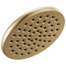 Single-Setting Raincan Shower Head
