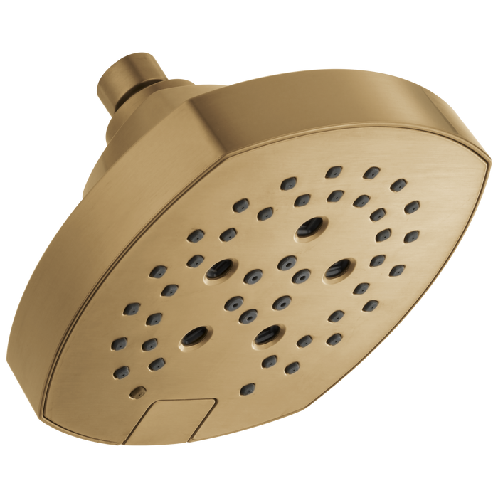 H2OKINETIC 5-Setting Shower Head