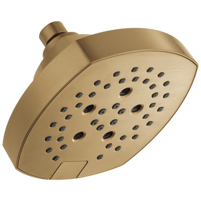 H2OKINETIC 5-Setting Shower Head