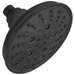 Delta Delta Universal Showering Components: 5-Setting H2OKinetic Trad Raincan