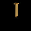 Brushed Gold (BG)