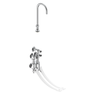 Commercial 54T5: Wall Mount Double-Pedal Surgeon's Scrub-up with Gooseneck Spout