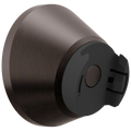 Venetian Bronze