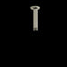Riobel 558 6" Ceiling Mount Shower Arm