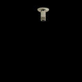 Polished Nickel (PN)