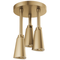 Champagne Bronze