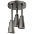 Black Stainless