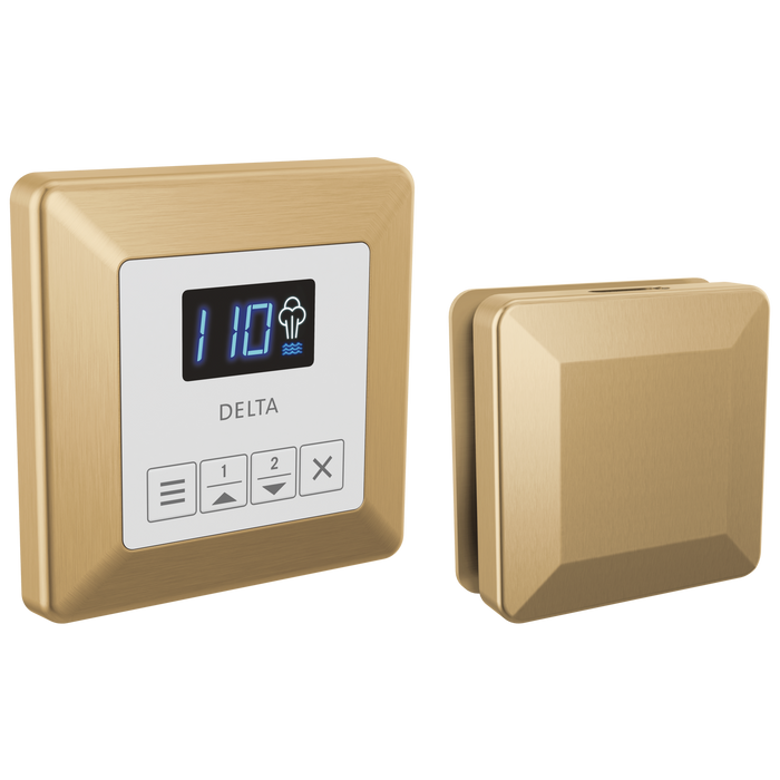 Delta Universal Showering Components: Square Steam Package